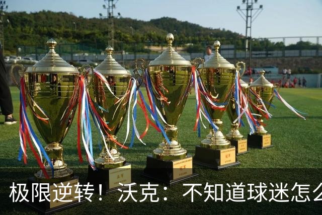 极限逆转！沃克：不知道球迷怎么熬住的，上场踢都比看球舒坦多了