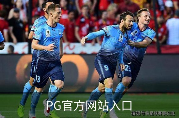 了解PG官方网站入口